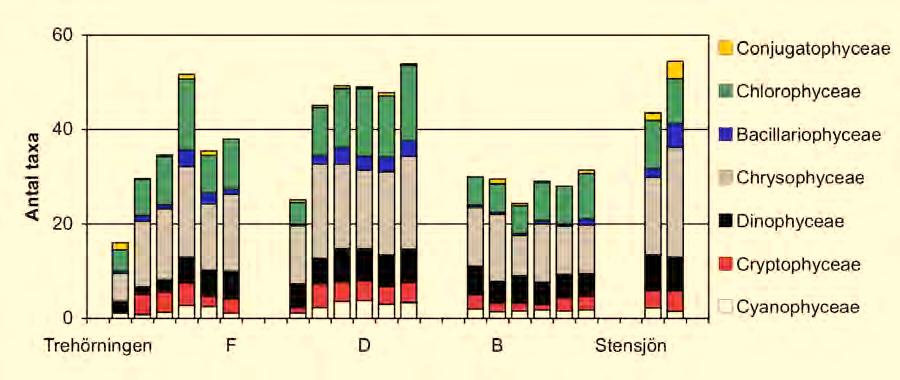 Figur 9. Antal taxa av växtplankton och deras sammansättning i Åvasjöarna, före kalkning (A), 1978-84 (B), 1985-91 (C), 1992-95 (D), 1996-99 (E) och 2000-2002 (F). I Stensjön, B = 1982-88.