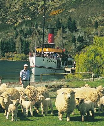 Dag 5 Tranzalpintåg Torsdag 18 januari I Christchurch stiger vi på Tranzalpintåget som tar oss rakt över sydön genom ett fullständigt hänförande och dramatiskt landskap fram till Greymouth.