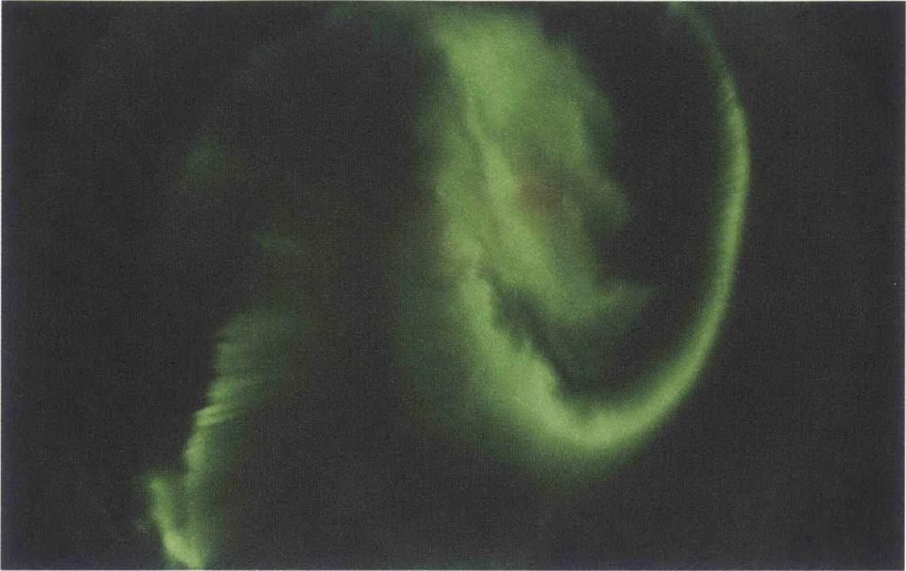 A Bilden visar ett kraftigt norrsken fotograferat den 12 december 2001, kl 22.10 UT (universell tid), av IRF:s firmamentkamera i Kiruna.