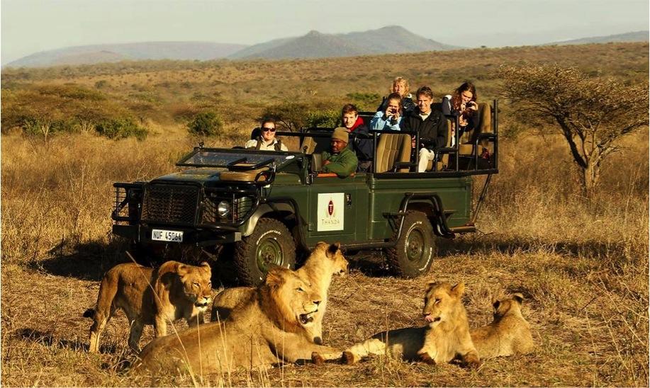 30 jan: Thanda Game Reserve Upp tidigt i soluppgången, och iväg på morgonens safari. Tiden bekräftas på plats men normal avgång för safarin är kl. 05.30. Ni samlas i receptionen och äventyret börjar med att försöka hitta de stora djuren.