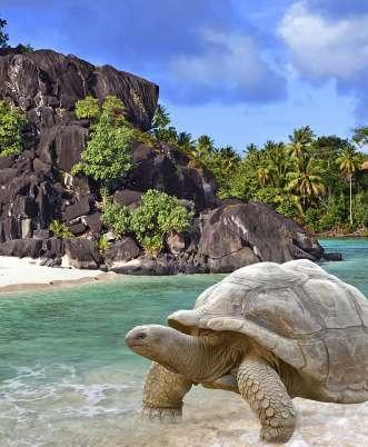 Dag 11 Madagaskar Nosy Be lördag 27 januari På morgonen har vi kommit fram till nordvästra Madagaskar och Nosy Be. Nosy är madagaskiska och betyder ö, Nosy Be blir på svenska den stora ön.