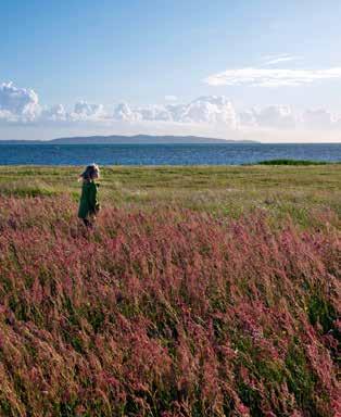 7 Målbild 2030 en livskraftig region med hållbara fysiska strukturer som sätter människan i centrum Foto: Joakim Lloyd Raboff Utif r ån målbilden om