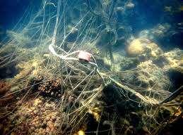5: FISKEGARN / NÄT 25 58 83 VUEN: Vad kallas gammalt kvarglömt eller slitet garn som fiskar och fåglar kan trassla in sig i ett stort problem?