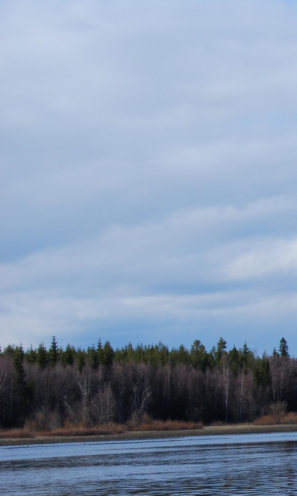 Pappersbruket i Obbola. Foto: Olof Larsson, SGU Obbola-Holmsund I vattnen mellan Obbola och Umeå hamn vid Holmsund har en ganska omfattande fiberbank påträffats (407 000 m 2 ).