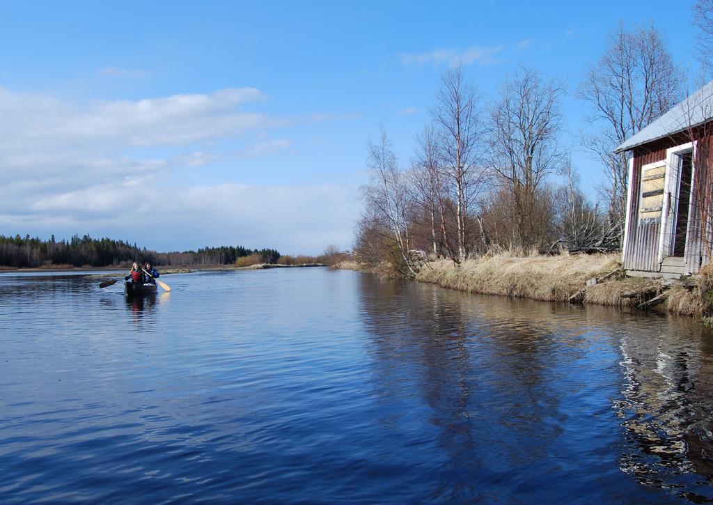 Fiberhaltiga förorenade sediment och fiberbankar kan i olika grad vara ett problem som berör hav, kuster, sjöar och älvar i hela Sverige.