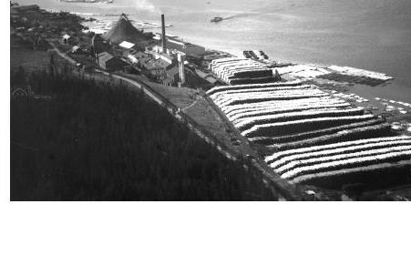 Industrihistoria i Norrland Vad är fiberbankar och fiberrika sediment?