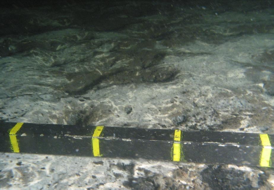 Västernorrlands län Arbetet med att identifiera och inventera fiberrika sediment och fiberbankar inleddes i Västernorrland.
