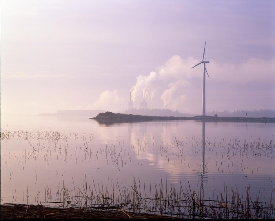 Jämfört med andra områden som har undersökts inom projektet är koncentrationerna förhöjda av ett flertal organiska ämnesgrupper, däribland PCDD/F, HCB, PAH 11, DDT:er, och metaller som krom, kadmium