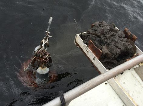 Området i Pilgrimstad valdes som pilotområde eftersom det har en fiberbank. Samtliga undersökta områden i Jämtlands län har riskklass 1 C. Historisk bild Pilgrimstad boardfabrik.