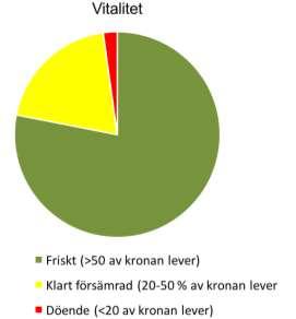 Resultat Antal skyddsvärda träd Totalt inventerades 228 särskilt skyddsvärda träd varav 129 var så kallade jätteträd med en brösthöjdsdiameter på > 1 meter.