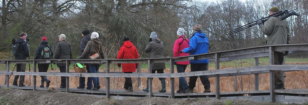 BOKA GUIDNING I Naturstugan kan du boka guidade visningar med kunniga naturvägledare. Guidningen anpassas efter era önskemål.