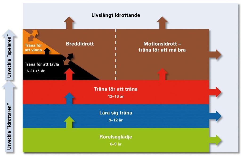 Utveckling- & Utbildningsfrågor Svensk Innebandys Utvecklingsmodell.
