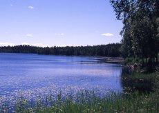 Inledning Strategi för kalkning m.m. 1. Sjöarna i det försurningsdrabbade området i norra Skåne ligger på sluttningen av Småländska höglandet ner mot Skånes slättområden.