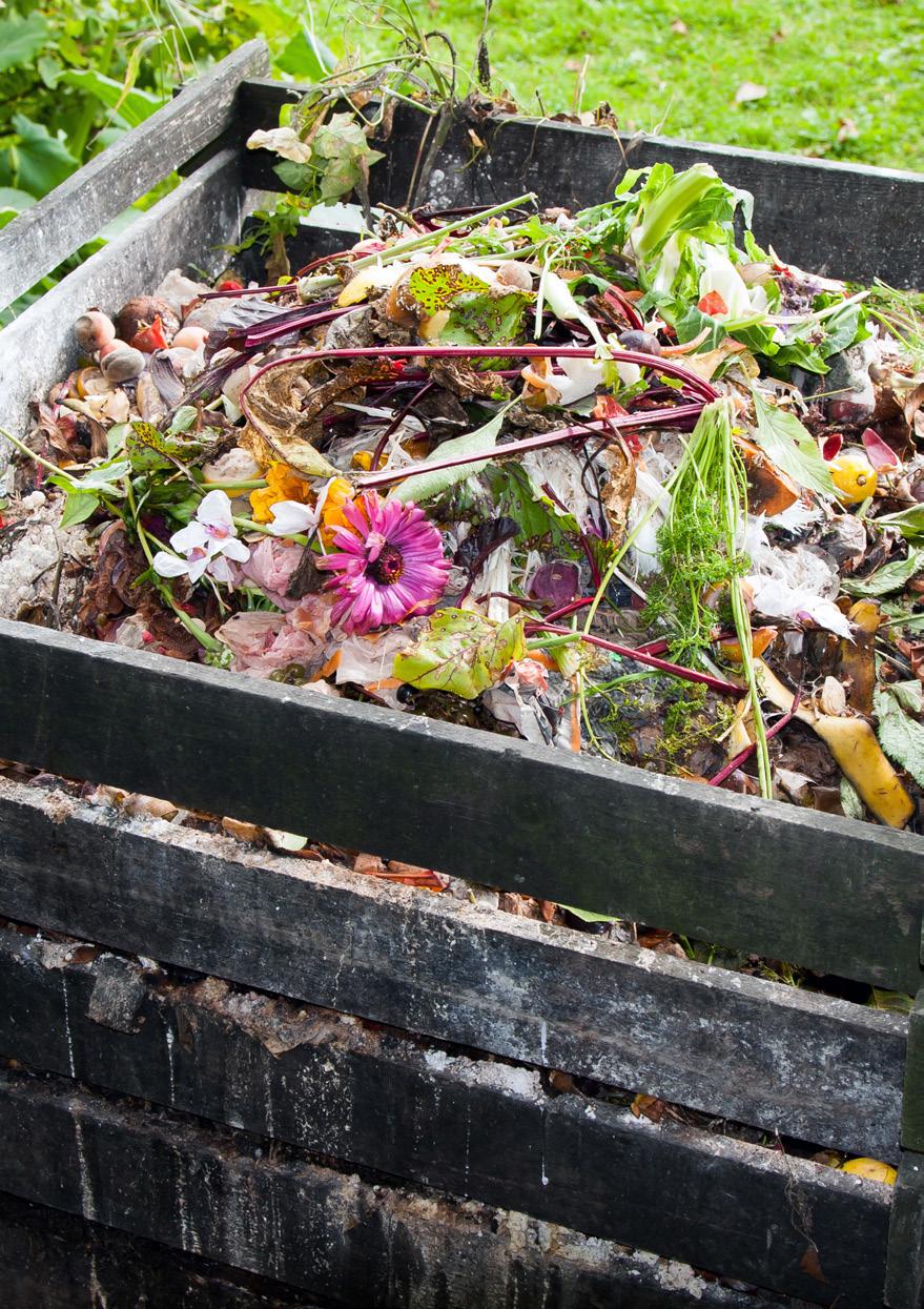 Allmänt om behållaren Kompostbehållaren bör helst vara gjord av ett material som inte släpper ifrån sig några ämnen till kompostjorden, därför är tryckimpregnerat virke inte så lämpligt.