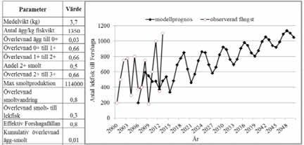 PRODUKTION AV VILD LAXSMOLT I KLARÄLVEN Jonsson B och Jonsson N. 2011. Ecology of Atlantic salmon and brown trout: habitat as a template for life histories (Vol. 33). Springer.