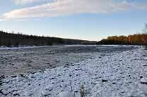 POTENTIELL LAXSMOLTPRODUKTION I KLARÄLVENS TORRLAGDA NATURFÅRA VID HÖLJES KRAFTVERK a Tabell 5a-b.