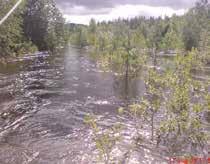 POTENTIELL LAXSMOLTPRODUKTION I KLARÄLVENS TORRLAGDA NATURFÅRA VID HÖLJES KRAFTVERK Tabell 6.