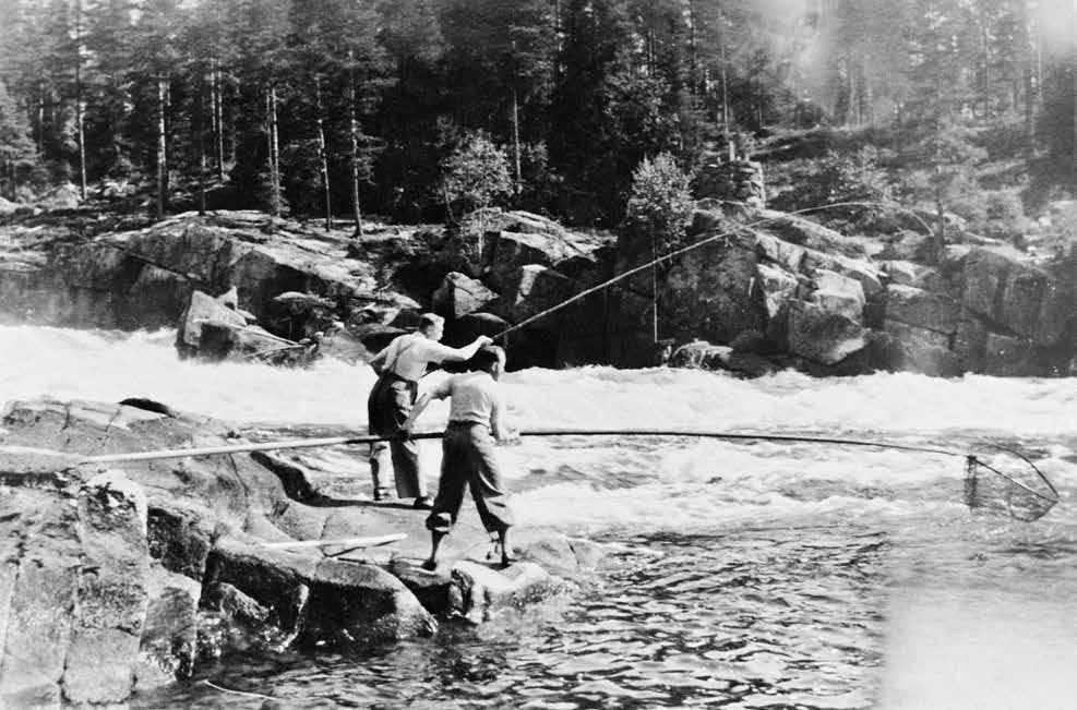 Figur 1. Laxfiske i Sandkilfossen vid riksgränsen. Foto: Trysil kommune.
