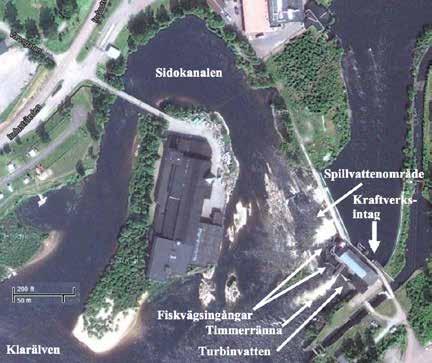 ELEKTRISK FISKBARRIÄR/AVLEDARE FORSHAGA Analys För en preliminär simulering av behovet av elektriska fält och barriärer användes analysprogrammet COMSOL.