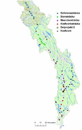 EFFEKTER AV VATTENREGLERING PÅ STRANDVEGETATION I KLARÄLVENS AVRINNINGSOMRÅDE 80 Referens, Norge Sten Meandrande Kraftverk Antal arter 60 40 20 0 Andel ruderater 20 10 0 Höjd (m.ö.h.