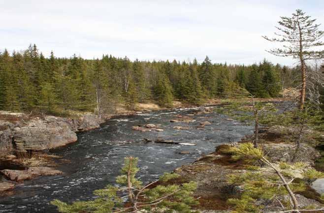 DEL 1 Figur 12. Höljan är ca 17 km lång på den svenska sidan och laxförande ända upp till riksgränsen. Foto: Helena Malmestrand. samhälle.