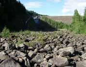 Den kanske viktigaste resursen i Värmland och Hedmark är