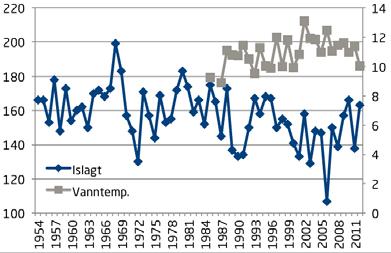 Den islagda perioden i Femunden har blivit kortare mellan åren 1954-2012 (pers.obs. Klas Femundshytten), medan vattentemperaturen 15 jun 30 sept under perioden 1985-2012 har ökat (data från NVE).