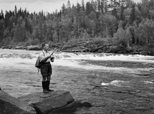 DEL 1 (10-12 lax per år med en vikt på ca 6 kg) av vad som fångats tidigare och under något år fångades inte en enda lax. Hetting (1871, cit.