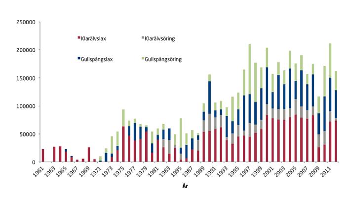 DEL 1 lokala varianter av lax och öring med delvis olika vandringstid (och morfologi m.m.) som var anpassade för vandring till och från den del av älvsystemet där de var födda.