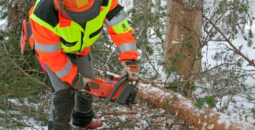 Foto: Kent Johansson sysselsättning Skogsbruket och skogsindustrin sysselsätter över 95 000 människor i Sverige och fler har anknytning till skogen till exempel