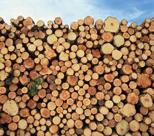 År 2011 exporterade vi skogs- och skogsindustriprodukter för 127 miljarder kronor vilket motsvarar 11 procent av Sveriges totala export.