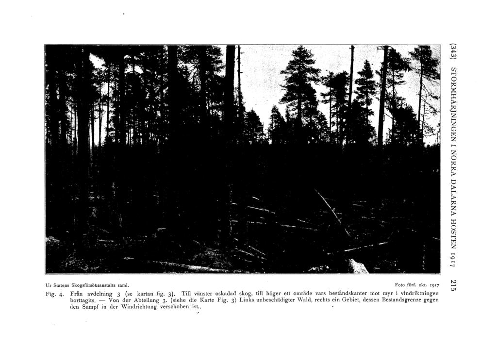 w w *"" UJ >-j o ;..., z >-< z 0 M z >-< z o :::0 :::0 t:l r :::0 z ;:q o, UJ >-j M z H -D H _, Ur Stat.e.ns skogsförsöksanstalts saml. Foto förf. okt. I9I7 Fig. 4. Från avdelning 3 (se kartan fig.