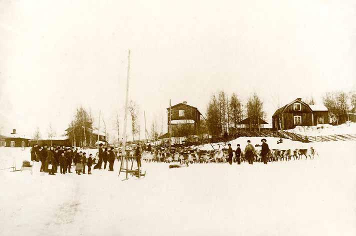Renslakt i Strömsnäs på 1890-talet.