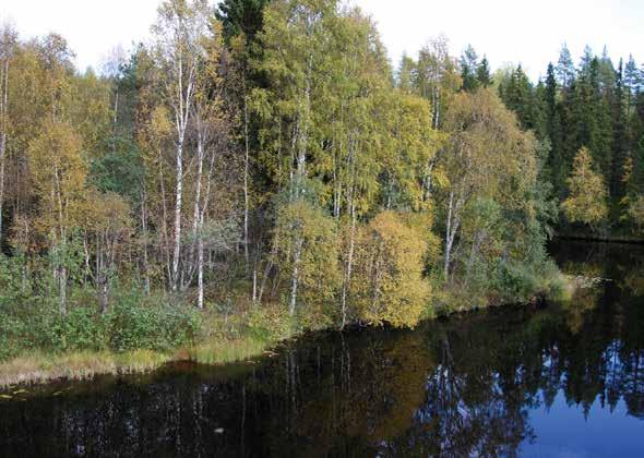 Marknadsplatsen vid Rampåkvihla, Kvisselnäset, där Flärkån och Gide älv flyter samman. Samerna bedrev handel även utanför de stora marknadsplatserna.