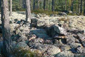 I arkivhandlingar som kyrkoböcker, husförhörslängder och tingsprotokoll kan man hitta uppgifter om samer, både fjällsamer på vinterbete och bofasta samer.
