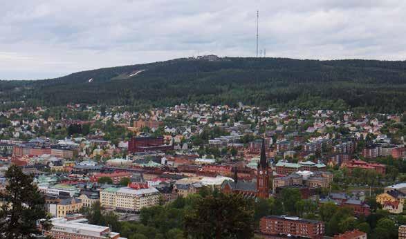 Köttet fraktades till Sundsvall där det var torgförsäljning på lördagarna. Märgben och lever betraktades som delikatesser.