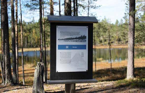 upptecknade gärna»svartkonst«, folkliga besvärjelser och föreställningar, när han vandrade runt i bygderna. 1917 gav han ut boken»signerier och besvärjelser svartkonst från Lappland«.