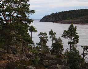 Fiskaren Axel Söderberg, född 1862, berättade om förhållandena i Ulvö hamn: På sommaren kommo ---lappar, som slutat med renskötseln. De bodde på vintern vid Ångermanälven.