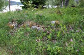Lappudden Namnet Lappudden har sitt ursprung i att renskötare i äldre tider rastade på udden när de kom flyttande med renarna från fjällen för vinterbete.