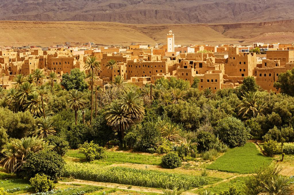 romerska ruinerna i Marocko. I Volubilis, som är ett skyddat Dag 6 världsarv av Unesco, får vi en guidad vandring genom områ- Fez - Erfoud - Merzouga det.