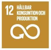 många som bor i slumområden utan i en mer lokal kontext. Trångboddheten i Sverige uppgick 2015 till 16 procent av alla i gruppen 16 år och äldre.