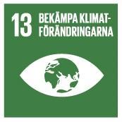 för att definiera den globala indikatorn. SCB har varit aktiva inom EU för att få fram nationella mått på detta på landsnivå. Nu finns ytterligare ett skäl att arbeta för detta.