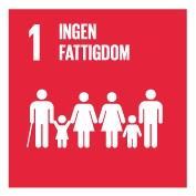 1 Ingen fattigdom Avskaffa fattigdom i alla dess former överallt Fattigdom omfattar fler dimensioner än den ekonomiska.
