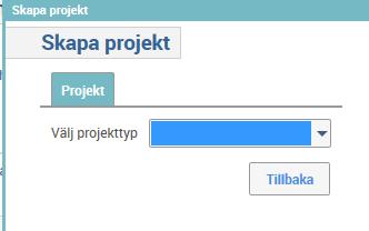 Tillbaka Registrera projektinformationen i respektive fält, samtliga gula fält är obligatoriska och måste innehålla text eller tal beroende på fält.