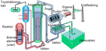 Så produceras el i en tryckvattenreaktor Grundfunktionen är enkel: man använder kärnenergi för att producera ånga. Ångan driver turbinen som i sin tur driver en generator som alstrar elektricitet.
