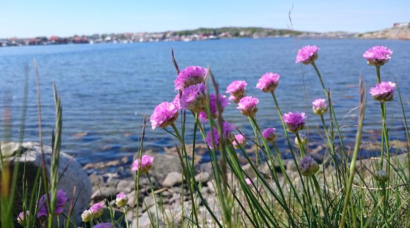 Vi vill inspirera människor att upptäcka och utveckla sin förmåga och glädje i att musicera och skapa musik. 031-96 32 00 Välkommen till musikskolan.