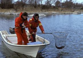 Många sportfiskare äger båt och en stor del av fiskelivet i Sverige är knutet till fiske med spö.