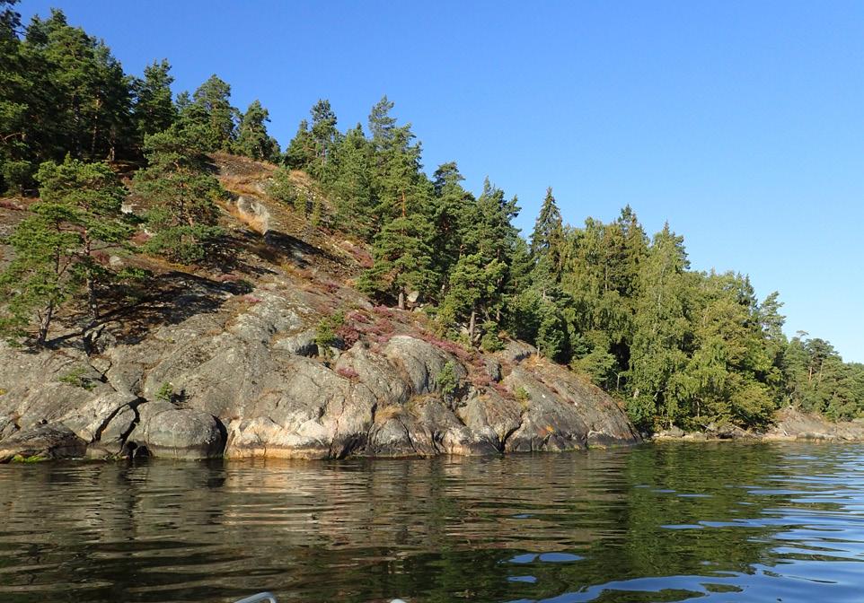 Reglering och vandringshinder, som det fasta dämmet vid Mölna kvarndamm, gör att Mölnaån inte fungerar som vandringsväg mellan Kottlasjön och Lilla Värtan.