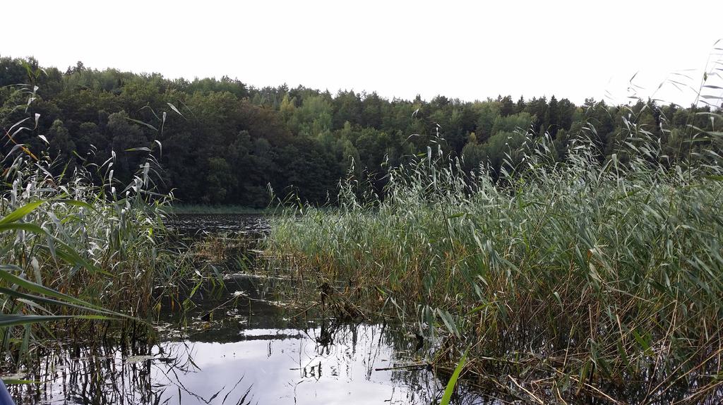 Stockbyån och Mölnaån har ett påtagligt naturvärde och längs delar av åarna finns viktiga nyckelbiotoper.