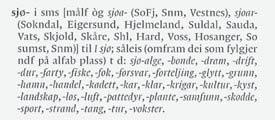 mattisson (band 9, inledningen) och att vidare tillägg därmed inte behövs inför avslutandet. Ordboken är glattalfabetiskt uppställd och homonymer markeras med romerska siffror.